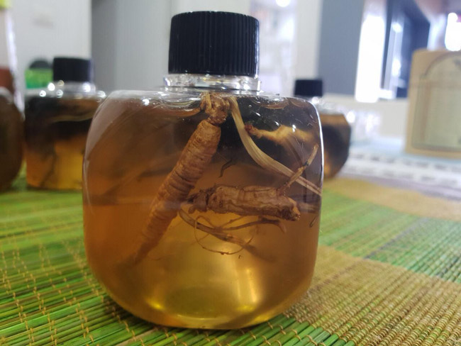 Bộ sưu tập sâm Hoàng Thất giá tiền tỷ của đại gia Hà thành-14