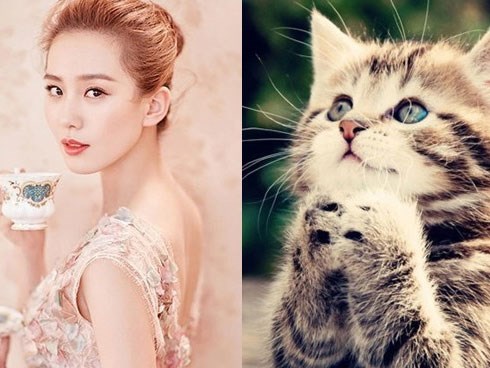 Những nàng giáp là 'tay hòm chìa khóa', đàn ông lấy được phúc một đời, cuộc sống vương giả, giàu lên bất ngờ