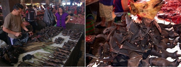 Khu chợ bán thịt dơi, rắn đáng sợ nhất Indonesia-4
