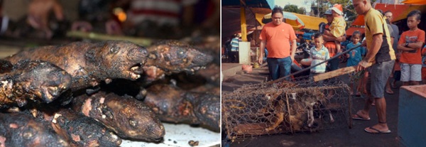 Khu chợ bán thịt dơi, rắn đáng sợ nhất Indonesia-5