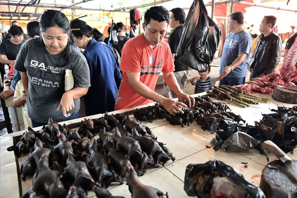 Khu chợ bán thịt dơi, rắn đáng sợ nhất Indonesia-6