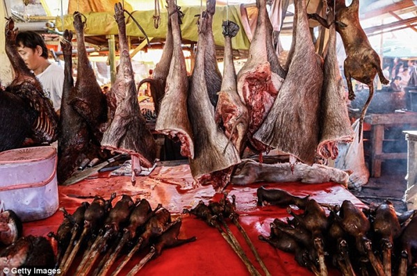 Khu chợ bán thịt dơi, rắn đáng sợ nhất Indonesia-7