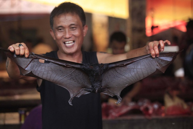 Loạt nhà hàng Indonesia ngừng bán món dơi hầm vì virus corona-1
