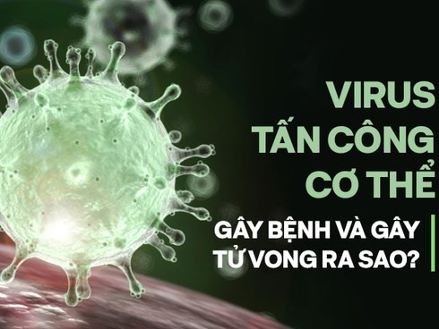 Virus làm gì sau khi vào cơ thể? Chi tiết về những cuộc 