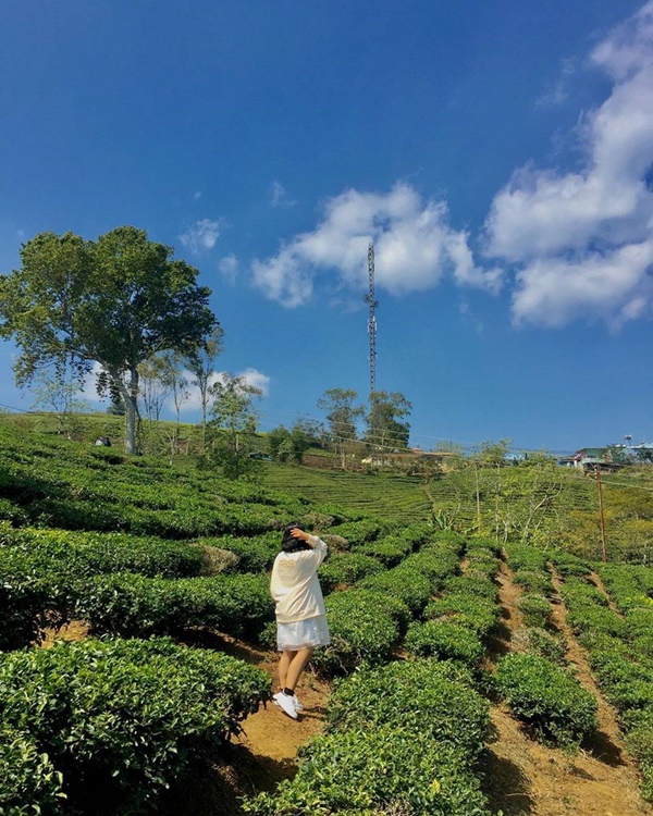 5 địa điểm hẹn hò lý tưởng tại Đà Lạt vào dịp lễ tình nhân-13