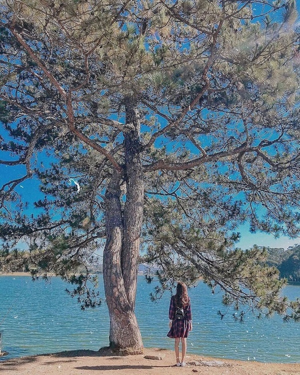 Tóc Tiên, Hoàng Touliver từng du lịch cùng nhau&nbsp;ở đâu?-11