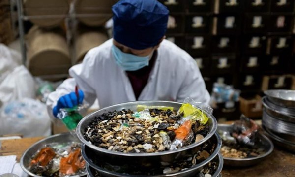 Loạn thuốc chống virus Corona: Phân bò, kim chi, hạt cau cũng được sử dụng-2