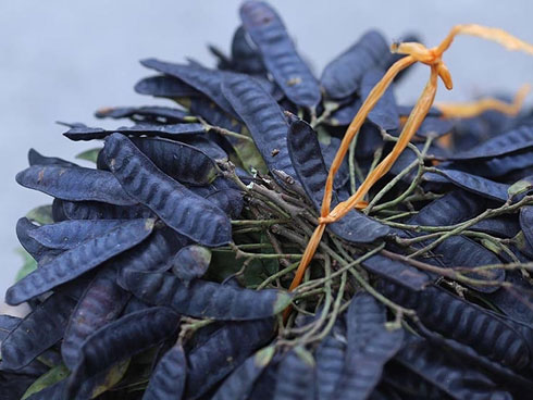 Hà Nội: Cháy hàng bồ kết, khách giành nhau từng quả về xông nhà-4