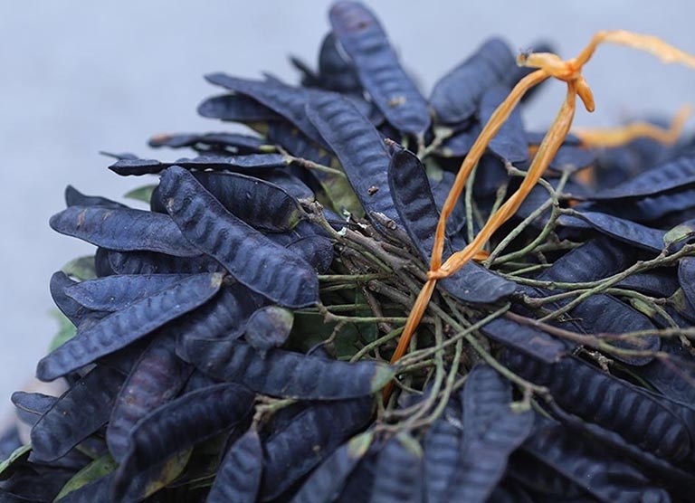 Bồ kết bất ngờ lên cơn sốt, dân đua nhau mua xông nhà-2