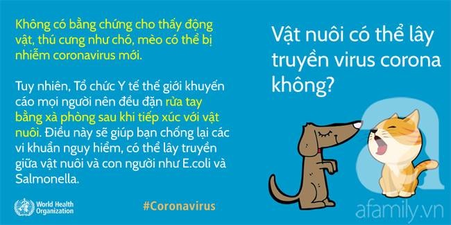 WHO đính chính 10 tin đồn rất nhiều người nhầm tưởng về virus corona, hiểu đúng sẽ giúp bạn phòng tránh bệnh tật hiệu quả hơn-2