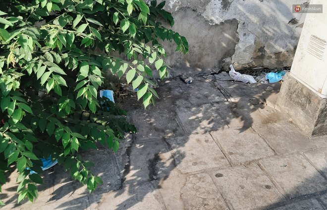 Khi người dân chen nhau mua bằng được khẩu trang để bảo vệ chính mình nhưng lại vứt tràn lan ra ngoài môi trường-4