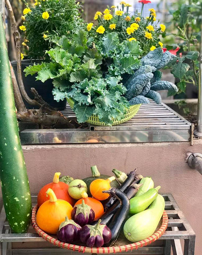 Choáng với trang trại nuôi trồng thập cẩm trên nóc nhà giữa Thủ đô-8