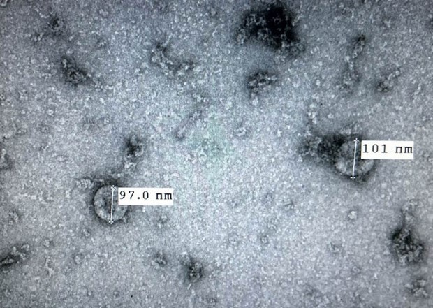 WHO đánh giá cao năng lực của Việt Nam trong phân lập nCoV-2