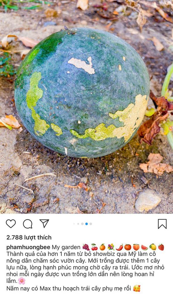 Hé lộ góc vườn đầy bất ngờ bên trong biệt thự triệu đô của Phạm Hương ở Mỹ: Lý do Hoa hậu từ bỏ showbiz là đây?-4