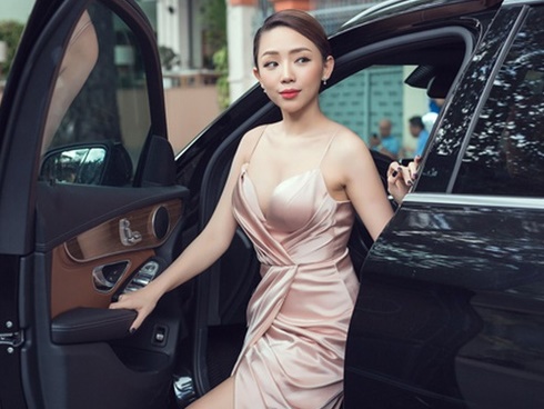 Biệt thự dát vàng xa xỉ giá hàng trăm tỷ của sao Việt-28