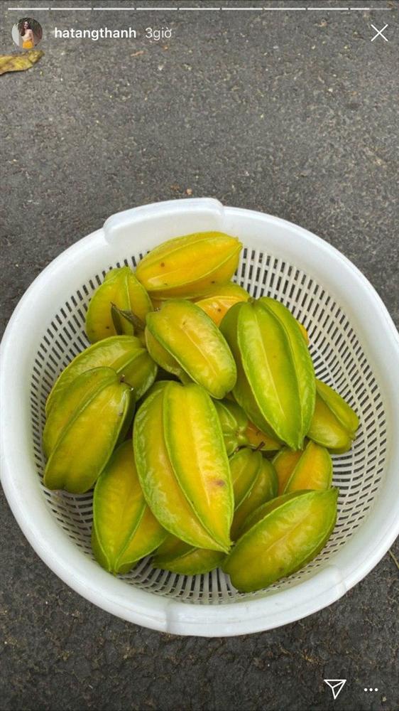 Nghỉ học vì virus corona, Tăng Thanh Hà cho các con chơi đủ trò vui hết nấc mà không hề chạm tới điện thoại khiến ai cũng phục-2