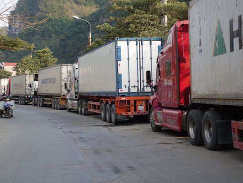 Bi đát cảnh dưa hấu chín rục ngoài đồng, cho không ai lấy-4