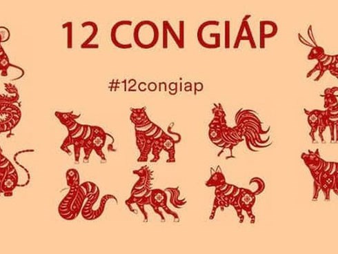 Trong số 12 con giáp, 4 con giáp càng sống lâu càng hưởng phúc dày, hậu vận phúc lộc vẹn toàn