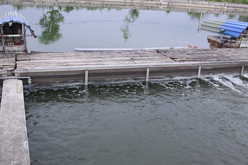 Anh em cùng đào con sông chảy ra vàng, dựng cơ nghiệp 300 tỷ đồng-2