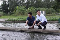 Anh em cùng đào con sông 'chảy ra vàng', dựng cơ nghiệp 300 tỷ đồng