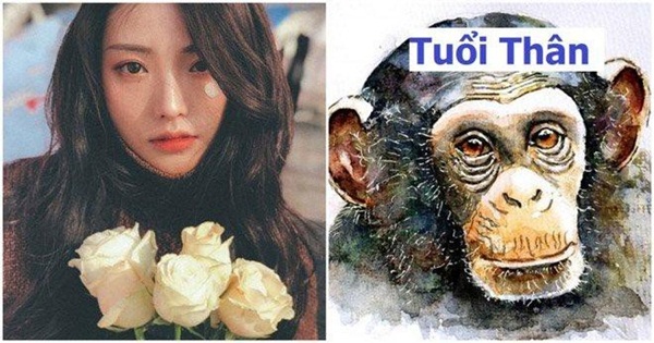 Tuần mới đầy thị phi, biến động gọi tên 3 con giáp sau, cần phải hết sức đề phòng-3