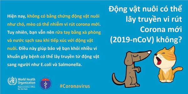 Bộ Y tế và WHO giải đáp thắc nhận bưu phẩm, thư tín có lây nhiễm virus corona hay không-1