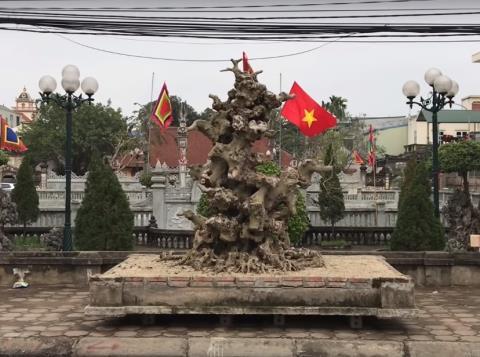 Khúc củi khô 4 tỷ của đại gia đồng nát Hà Nội-1