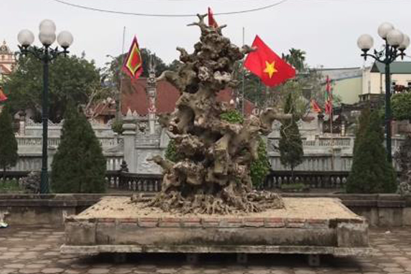 Vợ chồng gom đồng nát: Mỗi tháng tiết kiệm 15 triệu, xây nhà lầu để dành-4