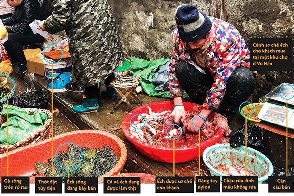 WHO khuyến cáo 13 thông tin quan trọng mọi người cần nhớ khi đi chợ và nấu ăn để tránh lây nhiễm virus corona-1