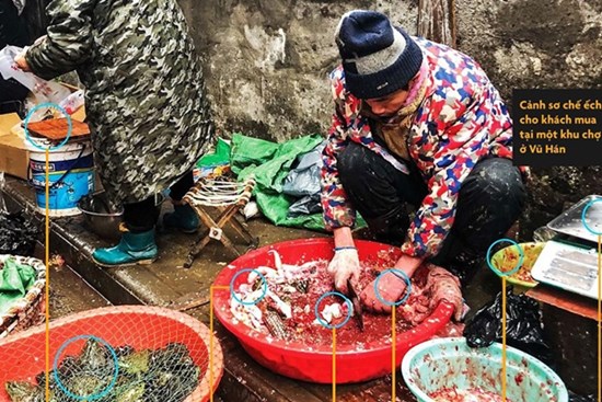 WHO khuyến cáo 13 thông tin quan trọng mọi người cần nhớ khi đi chợ và nấu ăn để tránh lây nhiễm virus corona