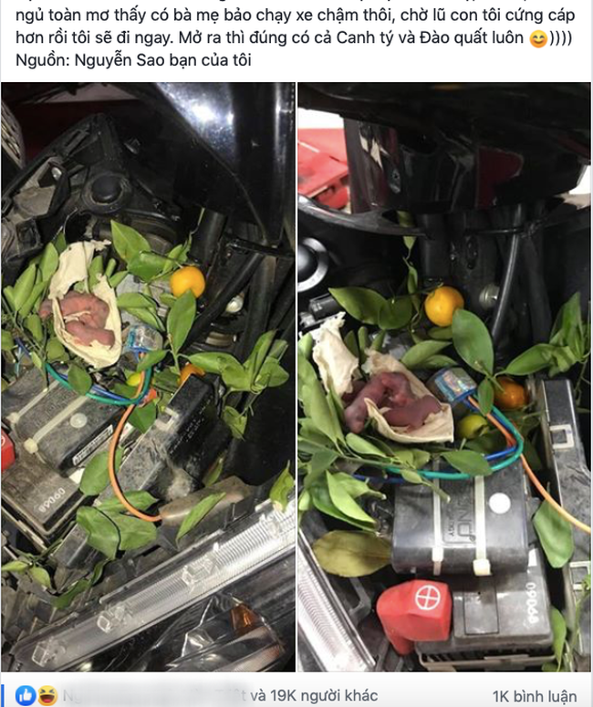 Nằm mơ thấy có người báo mộng chạy xe chậm thôi, chàng trai linh tính mở cốp xe và thấy hình ảnh bất ngờ đến bủn rủn chân tay-1