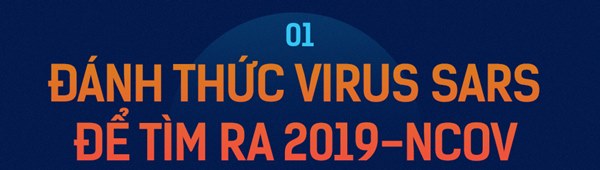 Tin vui đặc biệt từ Việt Nam và bí mật căn phòng đáng sợ nuôi cấy virus Corona-2