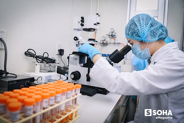 Tin vui đặc biệt từ Việt Nam và bí mật căn phòng đáng sợ nuôi cấy virus Corona-4