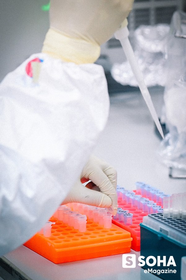 Tin vui đặc biệt từ Việt Nam và bí mật căn phòng đáng sợ nuôi cấy virus Corona-17