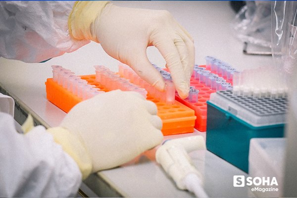 Tin vui đặc biệt từ Việt Nam và bí mật căn phòng đáng sợ nuôi cấy virus Corona-31