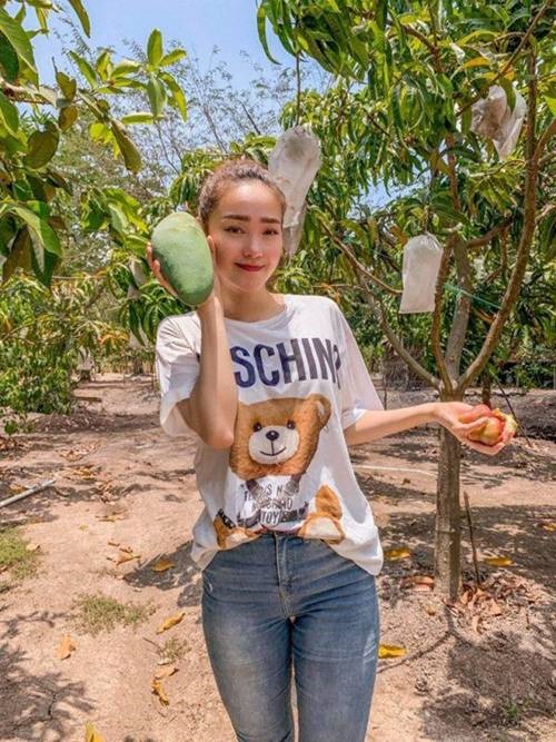 Mỹ nhân chán phố về quê: Lý Nhã Kỳ làm nông trường, Minh Hằng mua đất trồng cây, nuôi cá-1