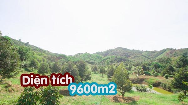 Mỹ nhân chán phố về quê: Lý Nhã Kỳ làm nông trường, Minh Hằng mua đất trồng cây, nuôi cá-6