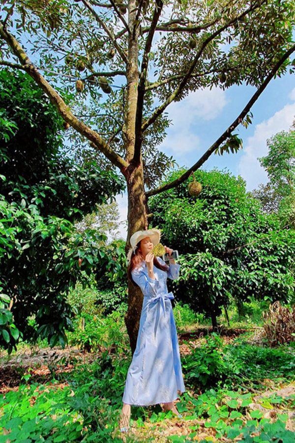 Mỹ nhân chán phố về quê: Lý Nhã Kỳ làm nông trường, Minh Hằng mua đất trồng cây, nuôi cá-10