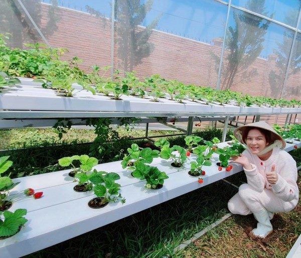 Mỹ nhân chán phố về quê: Lý Nhã Kỳ làm nông trường, Minh Hằng mua đất trồng cây, nuôi cá-11