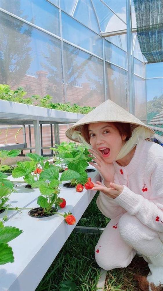 Mỹ nhân chán phố về quê: Lý Nhã Kỳ làm nông trường, Minh Hằng mua đất trồng cây, nuôi cá-12