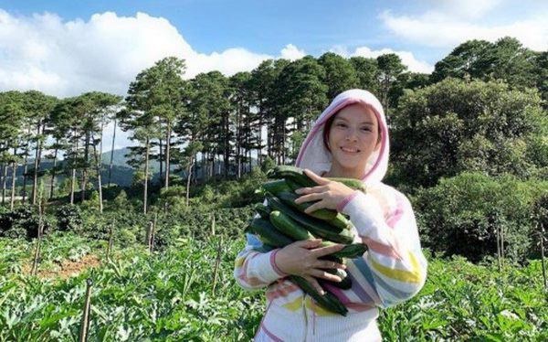 Mỹ nhân chán phố về quê: Lý Nhã Kỳ làm nông trường, Minh Hằng mua đất trồng cây, nuôi cá-13