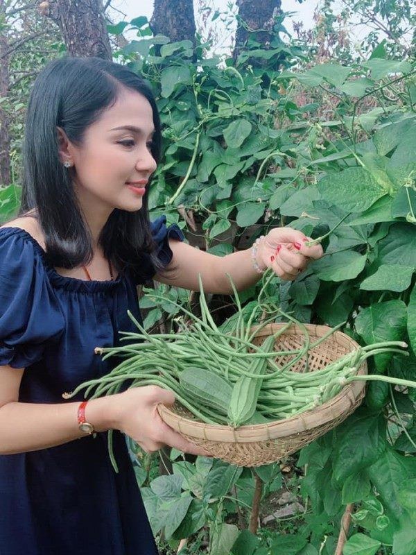 Mỹ nhân chán phố về quê: Lý Nhã Kỳ làm nông trường, Minh Hằng mua đất trồng cây, nuôi cá-16