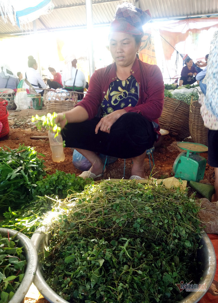 Khu chợ côn trùng bán đầy bọ xít, châu chấu... hiếm có Việt Nam-4