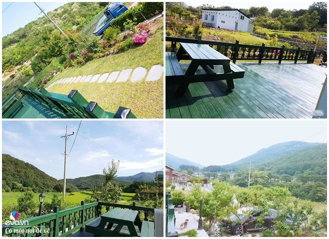 Thương vợ liệt nằm 1 chỗ, cụ ông Hàn Quốc xây cả khu vườn khiến con dâu Việt thán phục-3