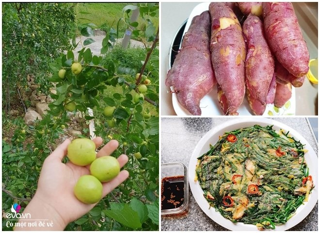 Thương vợ liệt nằm 1 chỗ, cụ ông Hàn Quốc xây cả khu vườn khiến con dâu Việt thán phục-16