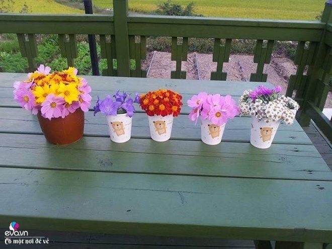 Thương vợ liệt nằm 1 chỗ, cụ ông Hàn Quốc xây cả khu vườn khiến con dâu Việt thán phục-19