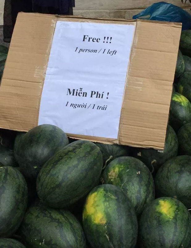 Dưa hấu được phát miễn phí tại khách sạn, đáng chú ý nhất là nội dung sai sai trên tấm biển-2