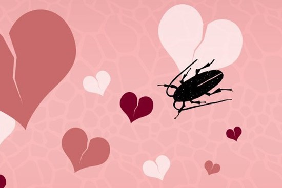 Dịch vụ đặc biệt cho những trái tim tan vỡ vào Valentine: Đặt tên người yêu cũ cho gián rồi để nó làm bữa tối của các con vật khác