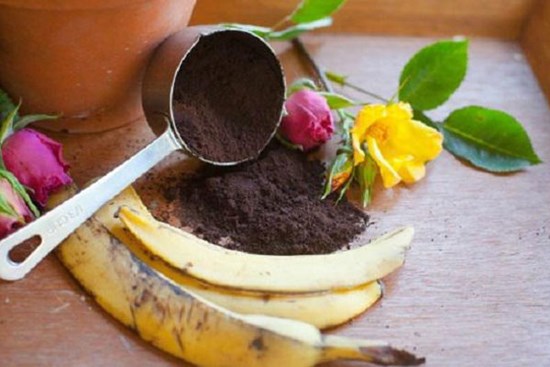 Vỏ chuối, bã đậu đừng vứt đi, để làm phân bón cực