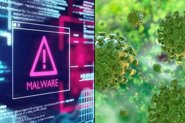 Lợi dụng tin giả về virus corona, hacker chiếm quyền điều khiển website-2